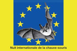 Nuit internationale de la chauve-souris